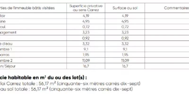 Surface Villeurbanne